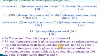 Exercice extrait de lexamen national 2017 rattrapage SP  2 gènes liés et non liés au sexe [upl. by Aldred]