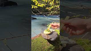 cookingshorts food gordonramsay outdoorcooking easyrecipes recettefacile foodie cooking [upl. by Steinberg896]