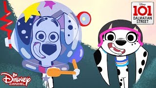 Prank Pups  101 Dalmatian Street  Disney Channel Africa [upl. by Diandra]