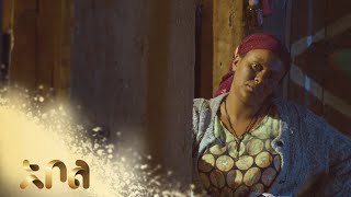 ሙሉ ክፍል 19 – አደይ  ምዕራፍ 1  ክፍል 19  አቦል ቲቪ – Adey  Season 1  Episode 19  Abol TV [upl. by Carrie]