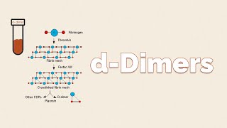 dDimers  What is this test and How to Interpret [upl. by Ettenel]