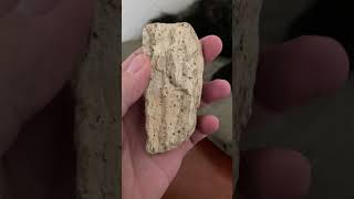 gneiss limestone nice thumbsup cat crystals magic amazingcat quartz love transformation [upl. by Aitnauq]