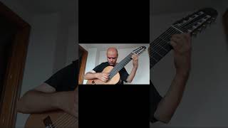 Part 3 Prelude BWV 999 by Bach for 10 String Guitar [upl. by Anaeda890]