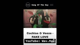 Cochise amp Veeze  FAKE LOVE Anime Visualizer [upl. by Lipcombe901]