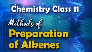 Methods of Preparation of Alkenes  Alkenes  Chemistry Class 11 [upl. by Silisav]