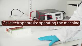 Episode 8  quotGel electrophoresis operating the machinequot [upl. by Hook174]