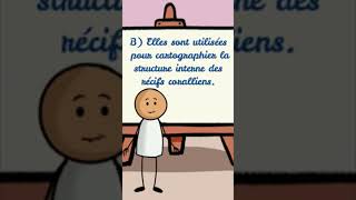 Question en biologie 📢  Ondes sismiques shorts video reels palestine viralvideo biologie [upl. by Mariand113]