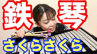 鉄琴で弾いてみた『さくらさくら』山本晶子 [upl. by Woodall]