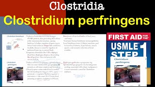 Clostridium perfringens in HindiUrdu by first aid for USMLE step 1 [upl. by Ahsima]