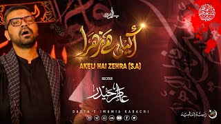 Akeli Hai Zehra SA  اکیلی ہے زہراءس  एकाकी है ज़हरा   Dasta E Imamia  Ayam Fatimiyah SA [upl. by Darice]