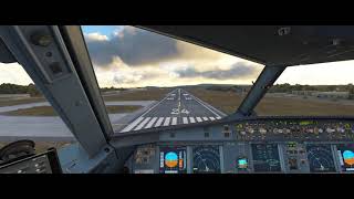 Approach amp Landing RWY24 LIRNNAP  Napoli flightsimulator [upl. by Newfeld296]