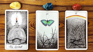 ONLY 01 WILL SEE THIS MESSAGE 🕯️🦋🌈  Pick a Card Tarot Reading [upl. by Ybreh602]