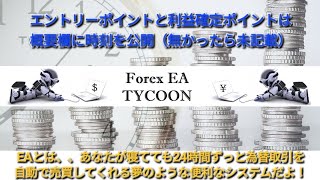 投資 為替 自動売買 FX ライブ配信 シグナル Fire 誰でもできる不労所得 EA Tycoon 2024107 [upl. by Nomelif]