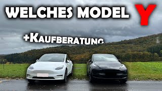 Tesla Model Y Long Range vs Performance [upl. by Rosaleen]