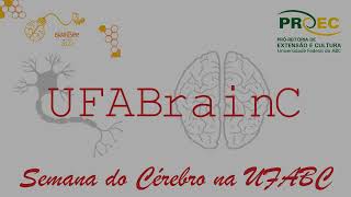 Desenvolvimento do Sistema Nervoso  Neurogênese  Final [upl. by Oicor383]