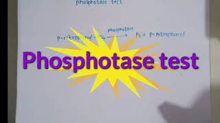 Phosphotase test of milk In hindi and english [upl. by Niac]