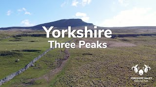 10 Special Qualities  Yorkshire Three Peaks  Yorkshire Dales National Park [upl. by Hatnamas]