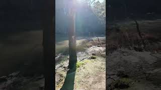 Warrandyte State Park  VIC Australia park lake river camping hike asmr relax outback [upl. by Ttezzil]