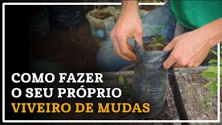 Como Montar e Cuidar de um Viveiro Agroflorestal Dicas Essenciais [upl. by Rodmur]