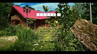 Sensei H  Serpent Live session [upl. by Mears876]