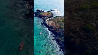 Shout out to seabirds dji hawaii drone sunset beautiful [upl. by Hausner521]