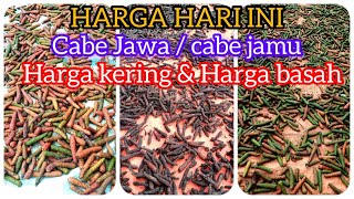 Harga cabe jamu atau cabe Jawa hari ini harga masih fantastis [upl. by Eydnarb]