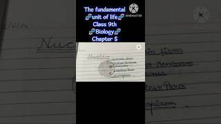 class 9th biology 🦠The fundamental unit of life 🐣 chapter 5 🧬Cell Wall VS Plasma membrane [upl. by Desireah]