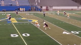 Lewis Mens Lacrosse 2020 Highlights  AldersonBroaddus [upl. by Lipscomb711]