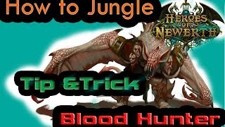 Hon Thailand Blood Hunter TipsampTrick ฟามป่า lvl1 ยังไงให้ไว [upl. by Nogem]