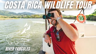 River Boat Tour on the CROCINFESTED Tarcoles River  Costa Rica Nature Tour [upl. by Eivol]