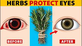 7 Herbs That Protect Eyes and Repair Vision [upl. by Orfinger524]