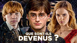 7 QUESTIONS sans RÉPONSE sur le GOLDEN TRIO dans HARRY POTTER [upl. by Crystal209]