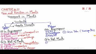 form and function of plant leacture 4doctor MANZOOR professor MANZOOR khan academy Peshawar [upl. by Harneen]