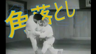 Sumi Otoshi A Misunderstood Takedown [upl. by Eloccin]