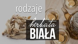 Biała Herbata rodzaje skąd pochodzi i rodzaje białej herbaty 12  Czajnikowypl [upl. by Bernice]