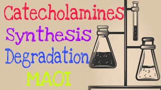 Catecholamine Metabolism  Lecture 15 [upl. by Marteena]