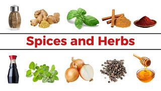 Spices and Herbs  Cooking Herbs  English Vocabulary [upl. by Edgell297]