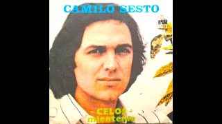 Celos  Camilo Sesto [upl. by Hcelemile]