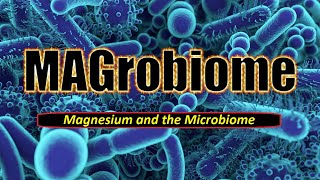 MAGrobiome Magnesium and the Microbiome [upl. by Thgirw928]