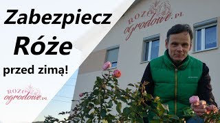 Jak zabezpieczyć róże w ogrodzie przed zimą [upl. by Oznohpla]