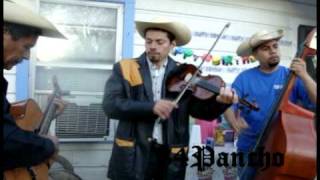 Caminos De Michoacan con Violin y Tololoche [upl. by Yrtneg582]