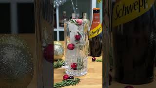 Festive Gin amp Ginger Beer Recipe [upl. by Aloek]