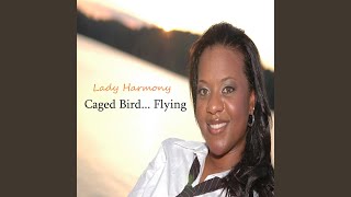 Caged Bird Flying [upl. by Dail]