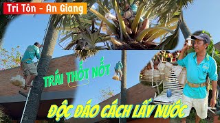 Độc Đáo Cách người dân lấy nước THỐT NỐT tại Tri TônKhám phá cung đường siêu đẹp tại Núi Cấm AG [upl. by Bovill502]