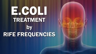 EColi  RIFE Frequencies Treatment  Energy amp Quantum Medicine with Bioresonance [upl. by Ayotal]