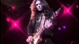 Lynyrd Skynyrd  Freebird Live 1979 Instrumental First Reunion  Volunter Jam V [upl. by Llenart]