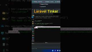 Laravel Tinker laraveldevelopment coding [upl. by Nodyarg]