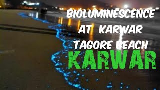 Beautiful beach glow by Bioluminescence  At Tagore beach Karwar  karwar [upl. by Dalenna]