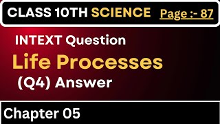 Intext Q4 Answers science class 10th life Processes jac board English science jacboardenglishmedium [upl. by Yhtommit438]