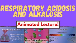 Blood Gas Basics Respiratory Acidosis amp Alkalosis Physiology amp Interpretation made simple [upl. by Judith]